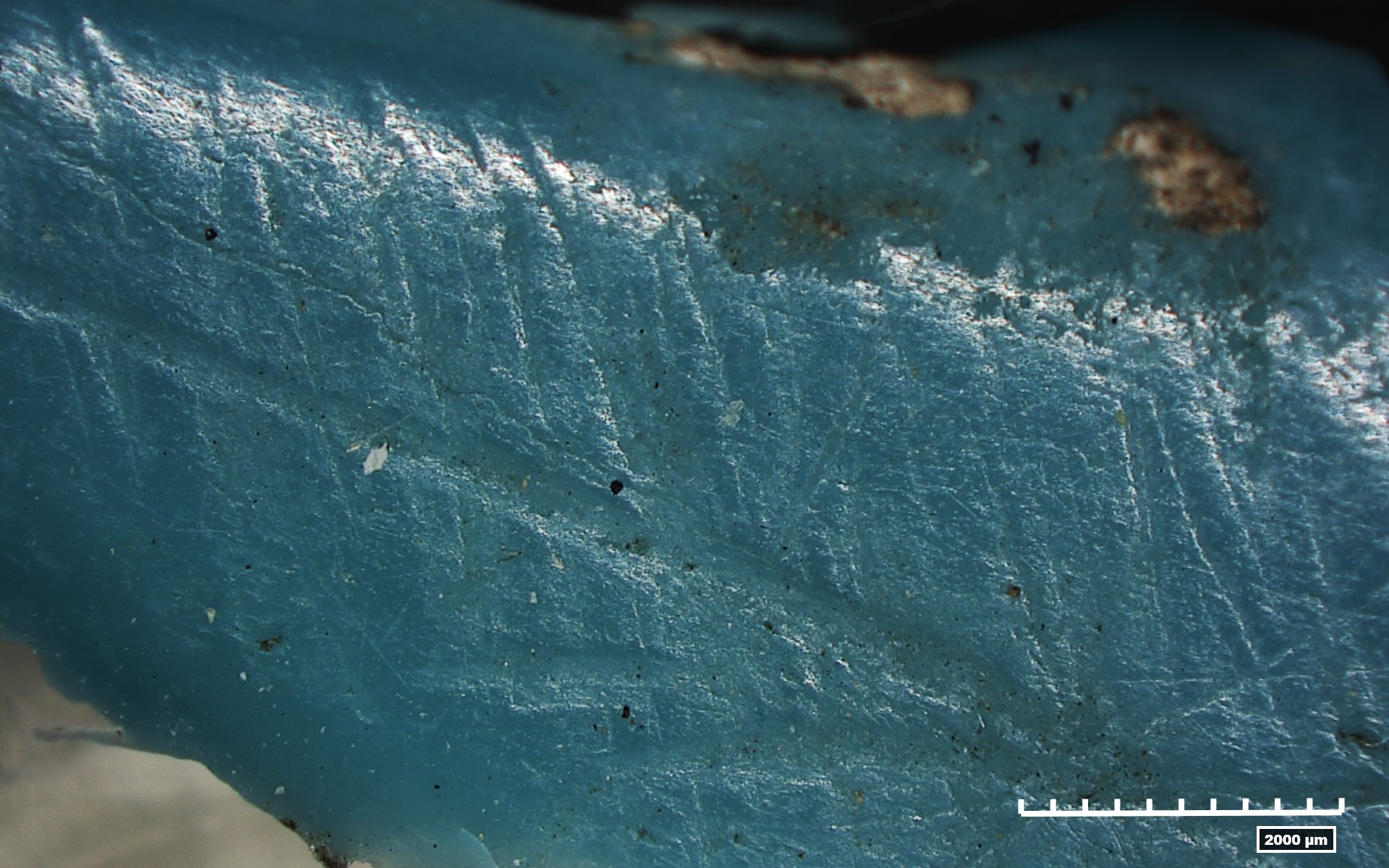 Different Types of Needles for Specific Uses? Experimental